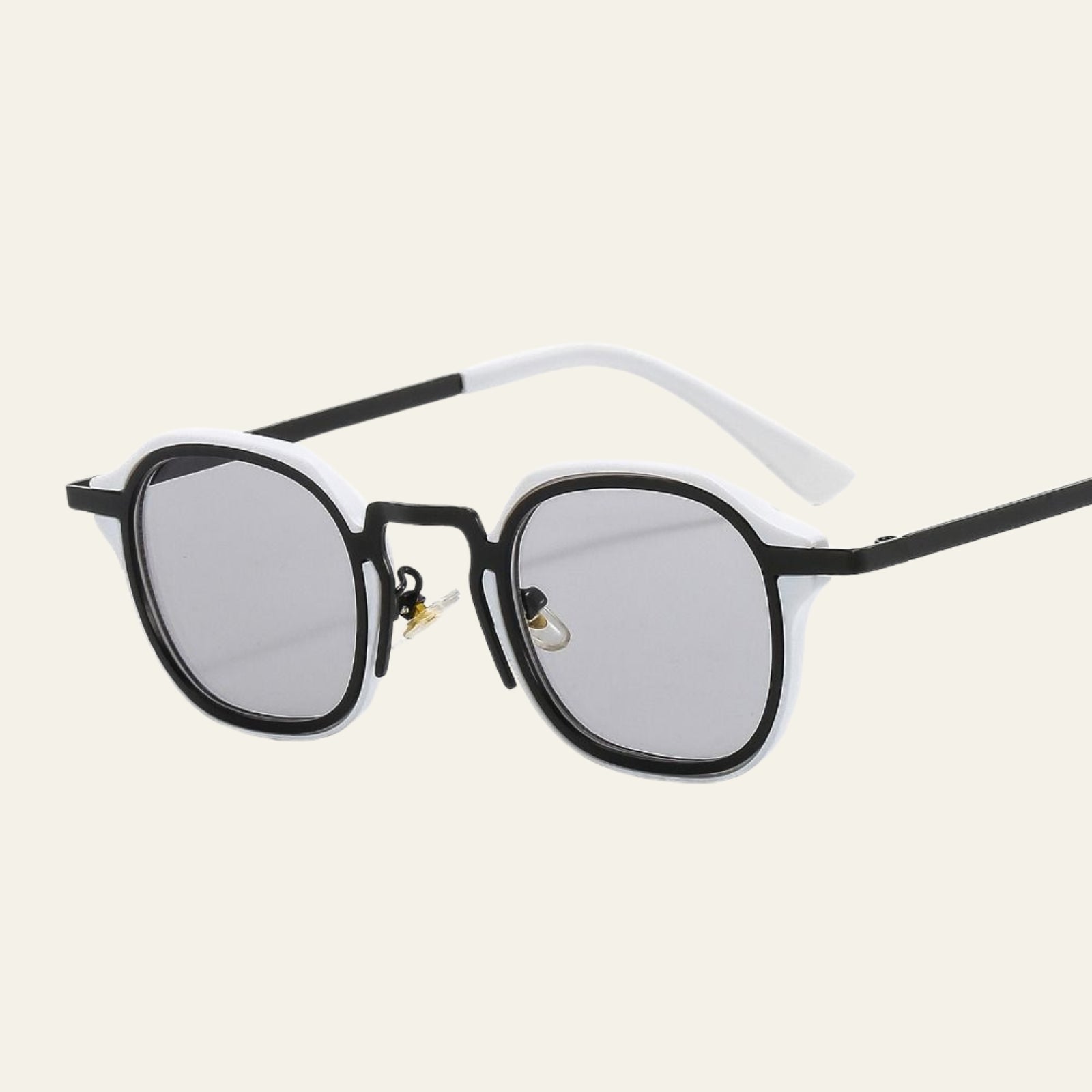 The Sorrento Forme Acetate Sunglasses